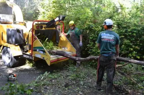 tree services Fox Lake